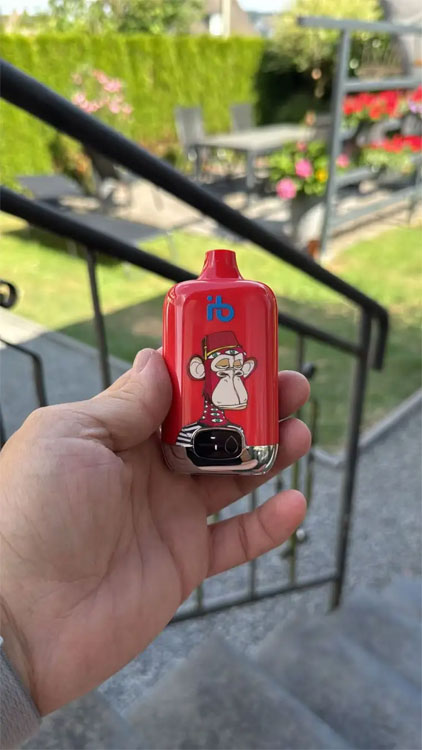 Navigating Indonesia's E-Cigarette Import Regulations for 2025